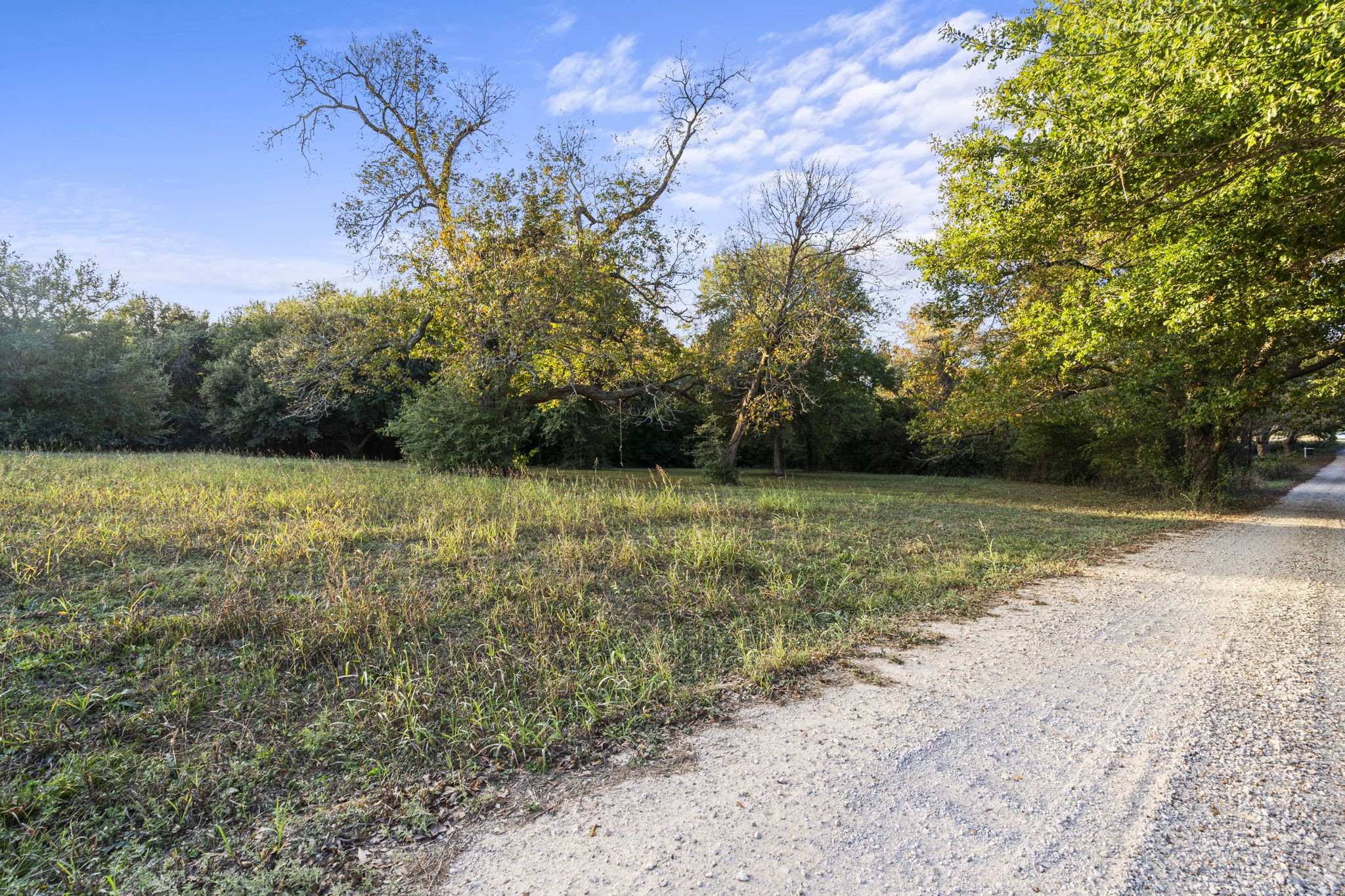 19344 Egypt Lane Washington, TX 77880 - Photo 10 of 13 a view of a garden with a tree