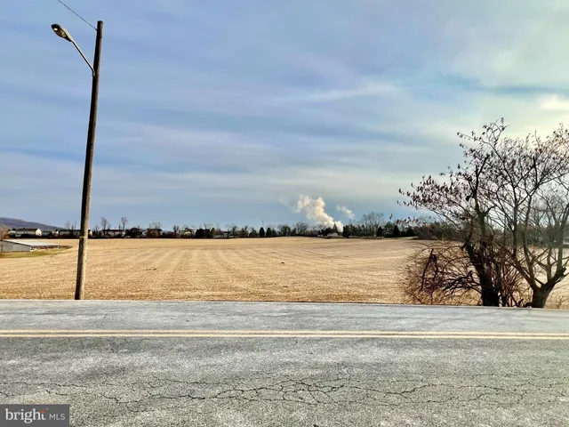 a view of backyard with small cabin