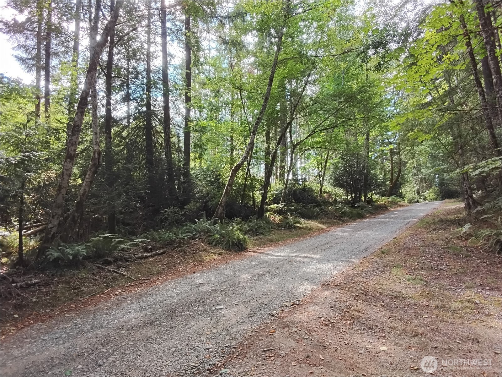 0 East Frontier Road Grapeview, WA 98546 - Photo 22 of 35 Gallery Image 22