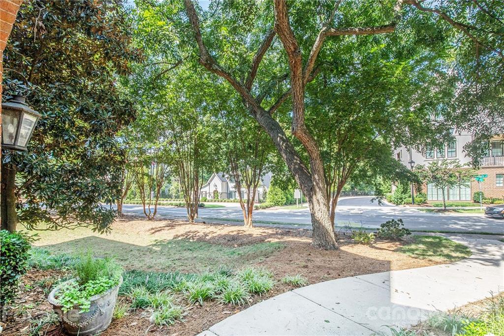 5730 Closeburn Road, Unit N Charlotte, NC 28210 - Photo 18 of 21 a huge green field with lots of trees
