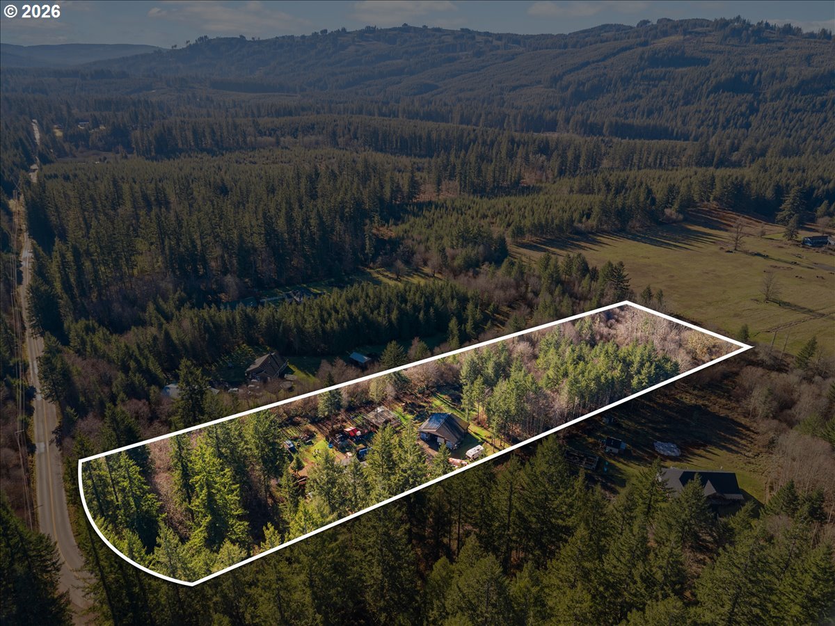23728 Northeast Dole Valley Road Yacolt, WA 98675 - Photo 39 of 46 a view of a swimming pool with a outdoor seating and plants