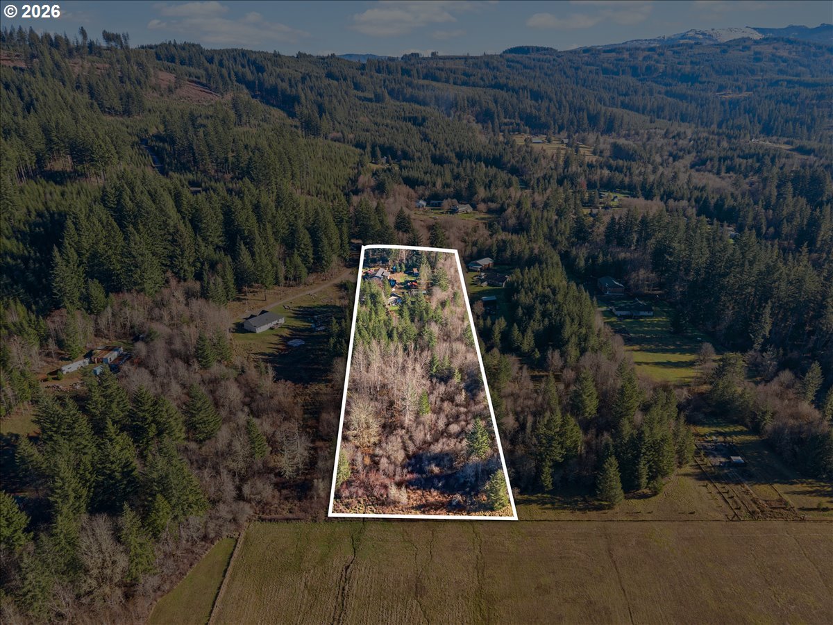 23728 Northeast Dole Valley Road Yacolt, WA 98675 - Photo 40 of 46 a view of a backyard