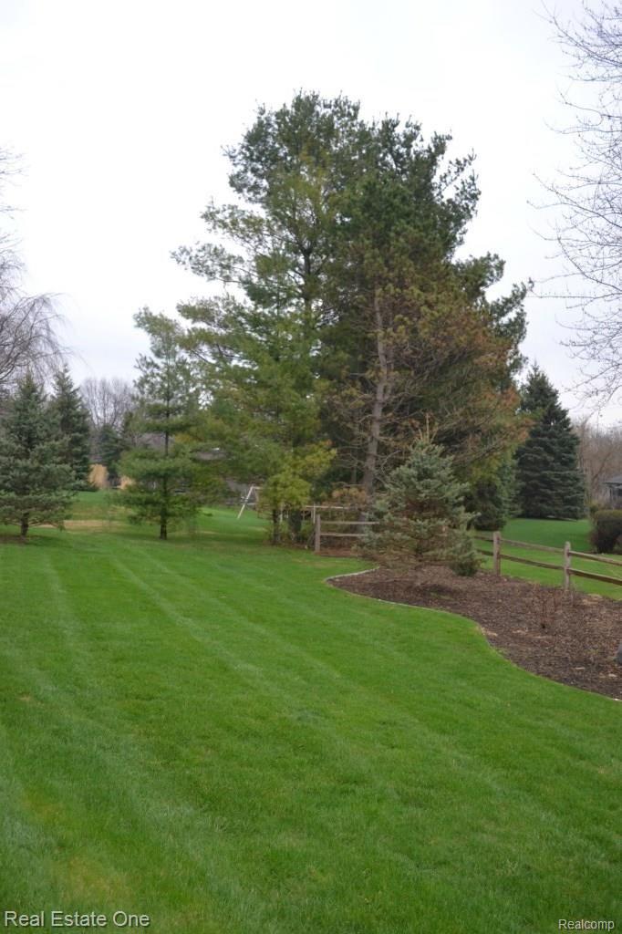 2639 Quail Run Street Rochester, MI 48306 - Photo 24 of 26 Back yard
