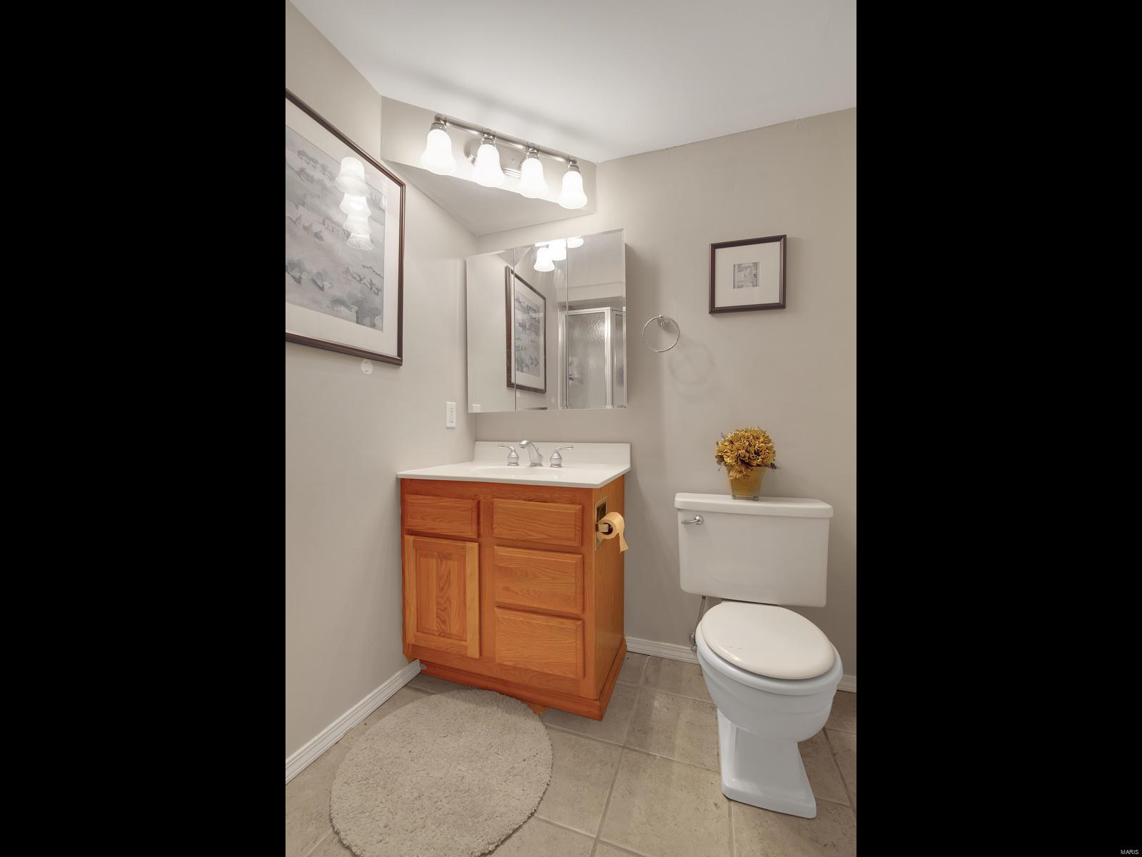 367 Ridgemeadow Drive Chesterfield, MO 63017 - Photo 29 of 37 Gallery Image 29