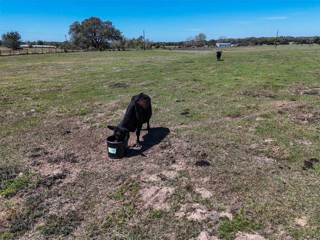 2 Reitz Quinn Road Cat Spring, TX 78933 - Photo 6 of 13 a view of a lake and mountain
