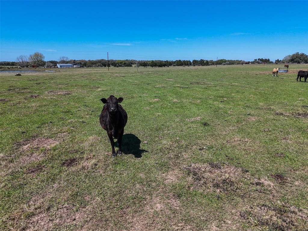 2 Reitz Quinn Road Cat Spring, TX 78933 - Photo 7 of 13 a view of a lake