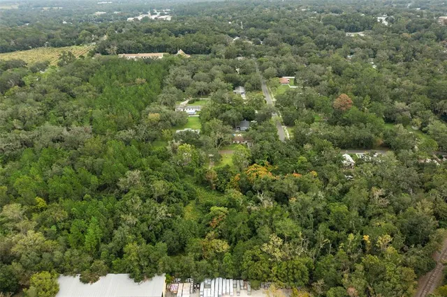 a view of a forest with a street