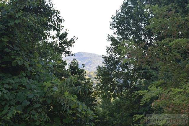 743 Dillard Greene Road Vilas, NC 28692 - Photo 8 of 20 Gallery Image 8