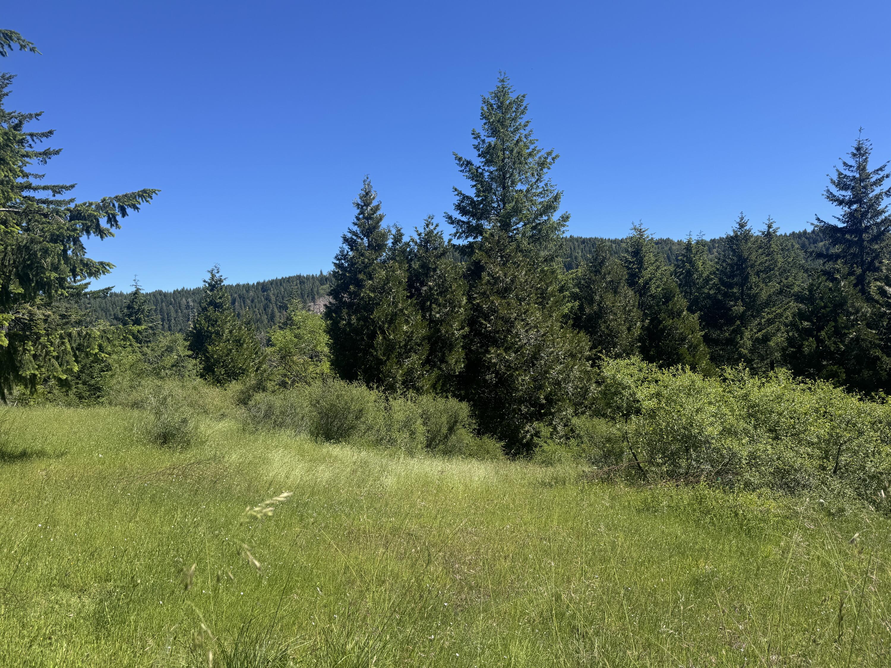 40-acres Snow Camp Road Korbel, CA 95550 - Photo 2 of 26