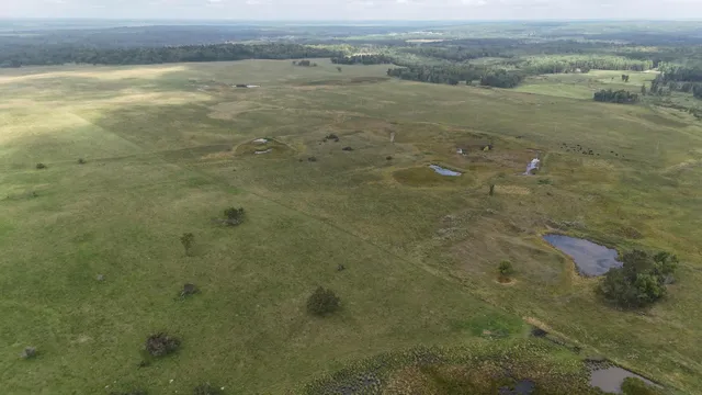 $1,250,000 | Tbd 220th Street, Bagley, MN 56621