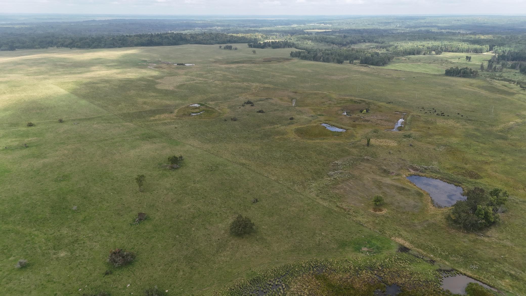 Tbd 220th Street Bagley, MN 56621 - Photo 16 of 26
