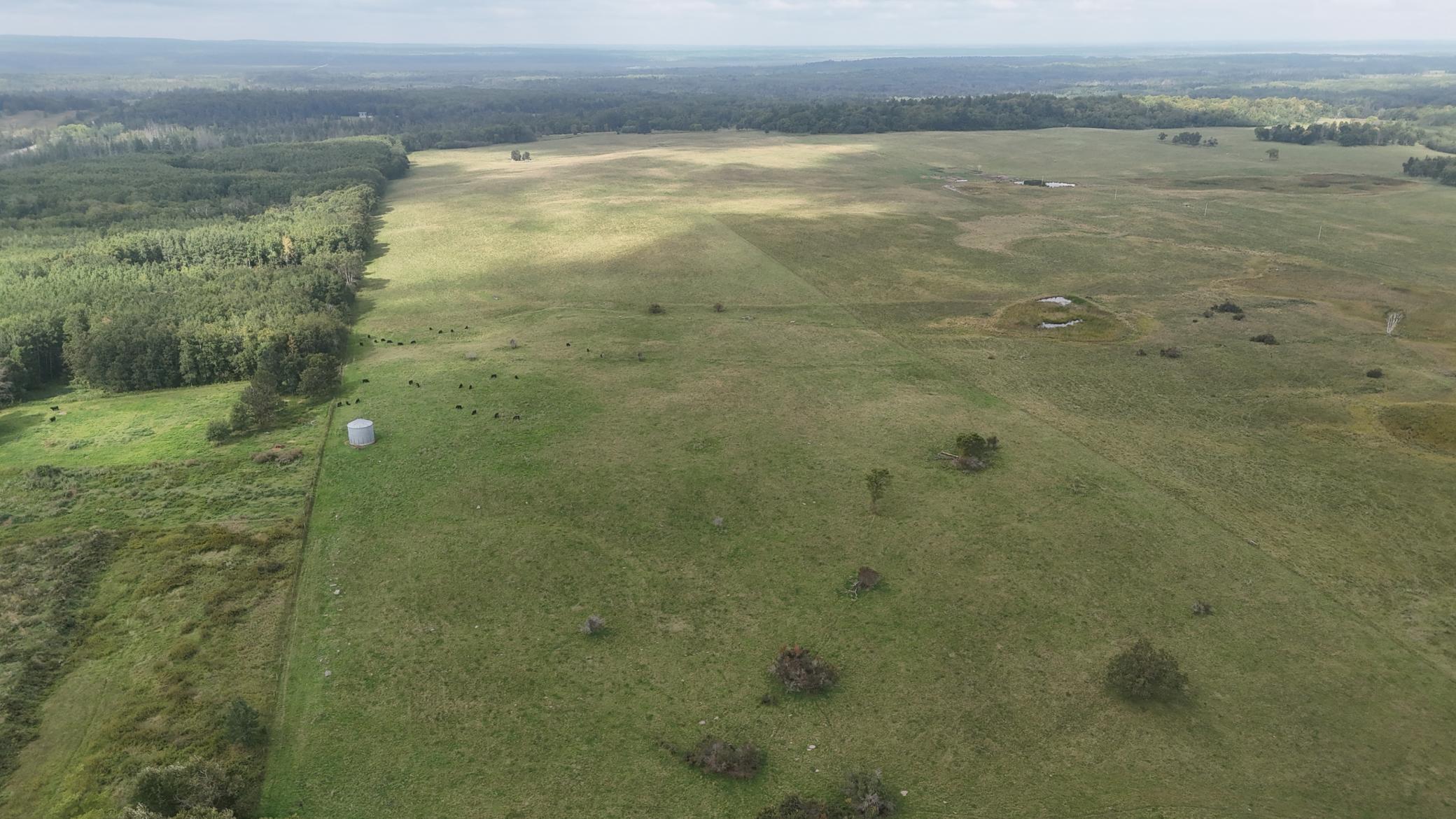 Tbd 220th Street Bagley, MN 56621 - Photo 17 of 26