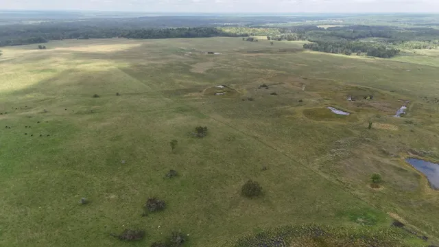 $1,250,000 | Tbd 220th Street, Bagley, MN 56621