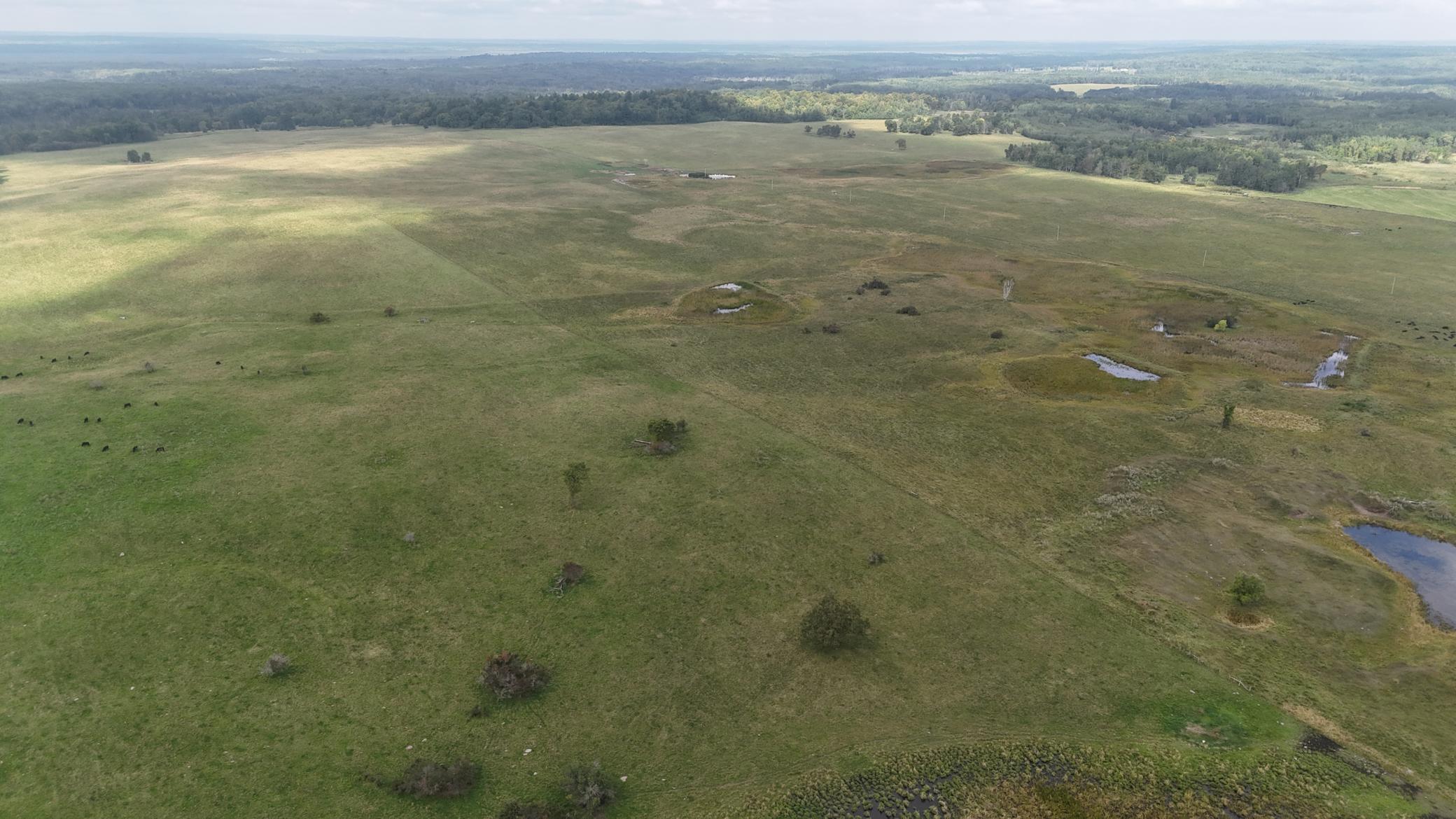 Tbd 220th Street Bagley, MN 56621 - Photo 18 of 26