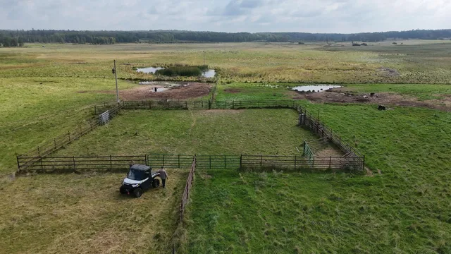 $1,250,000 | Tbd 220th Street, Bagley, MN 56621