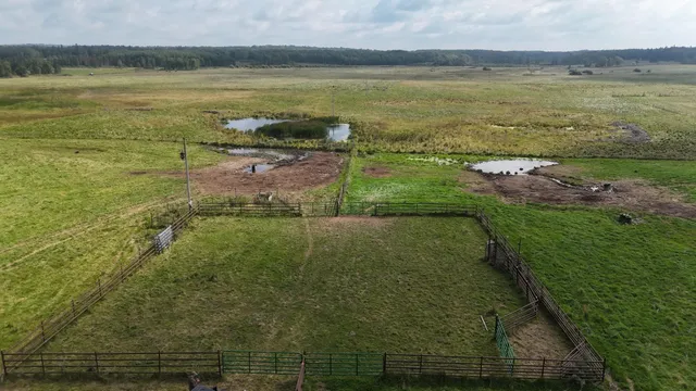 $1,250,000 | Tbd 220th Street, Bagley, MN 56621