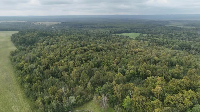 $1,250,000 | Tbd 220th Street, Bagley, MN 56621