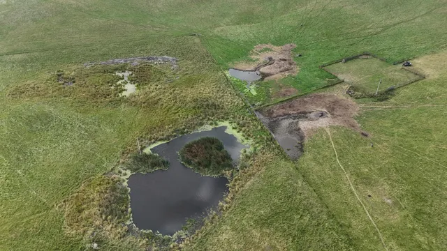 $1,250,000 | Tbd 220th Street, Bagley, MN 56621