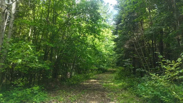 $1,250,000 | Tbd 220th Street, Bagley, MN 56621