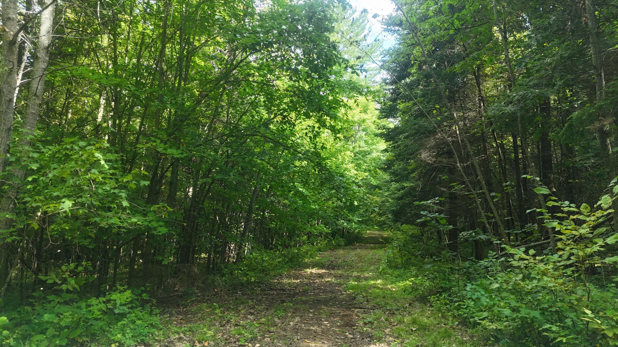 Tbd 220th Street Bagley, MN 56621 - Photo 26 of 26