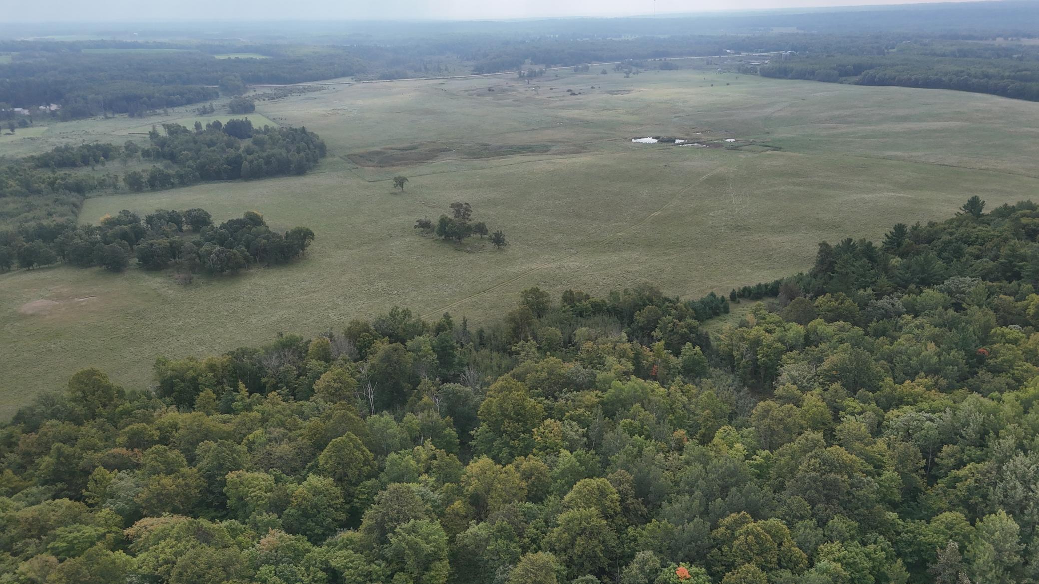 Tbd 220th Street Bagley, MN 56621 - Photo 4 of 26