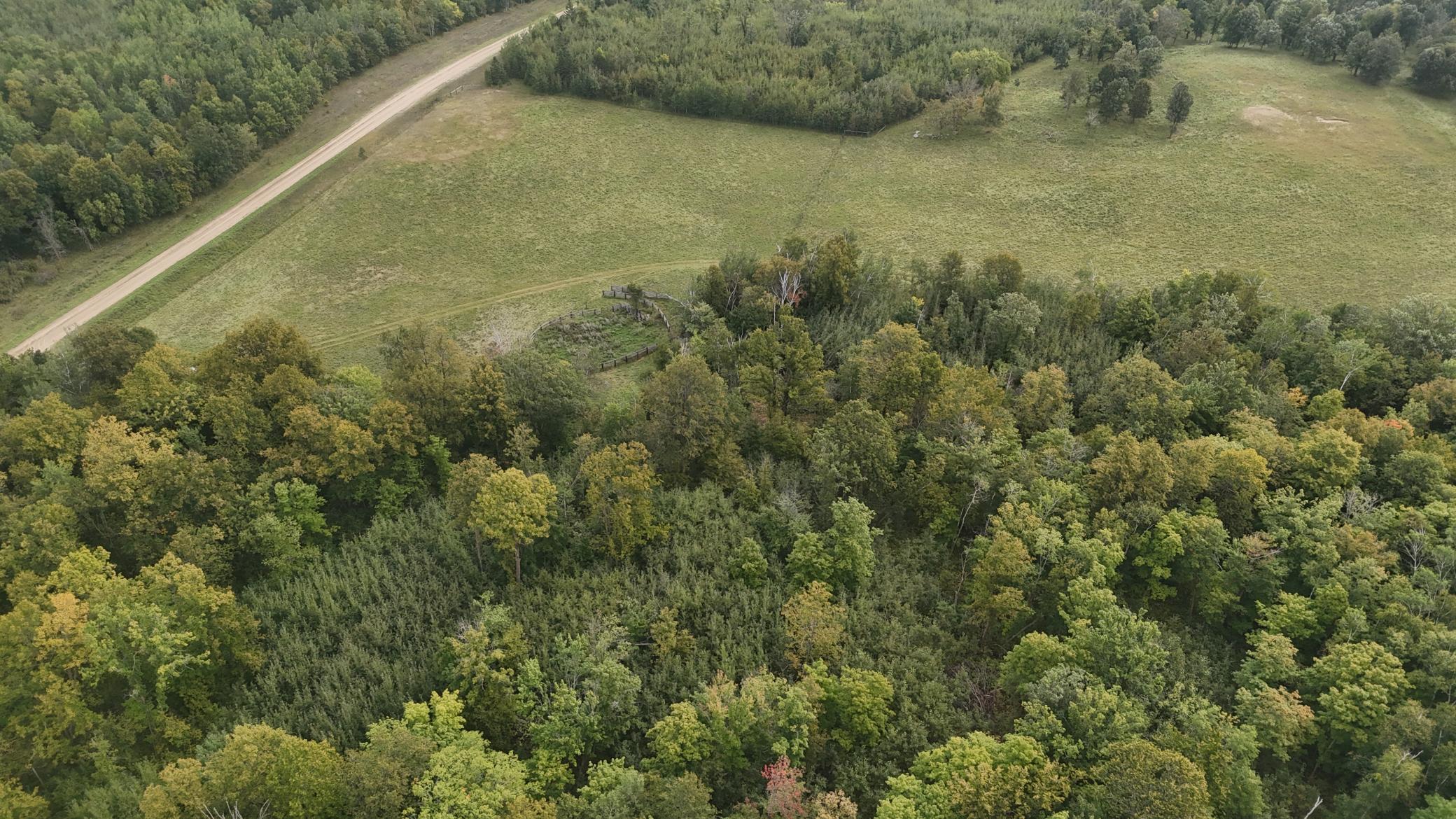 Tbd 220th Street Bagley, MN 56621 - Photo 5 of 26