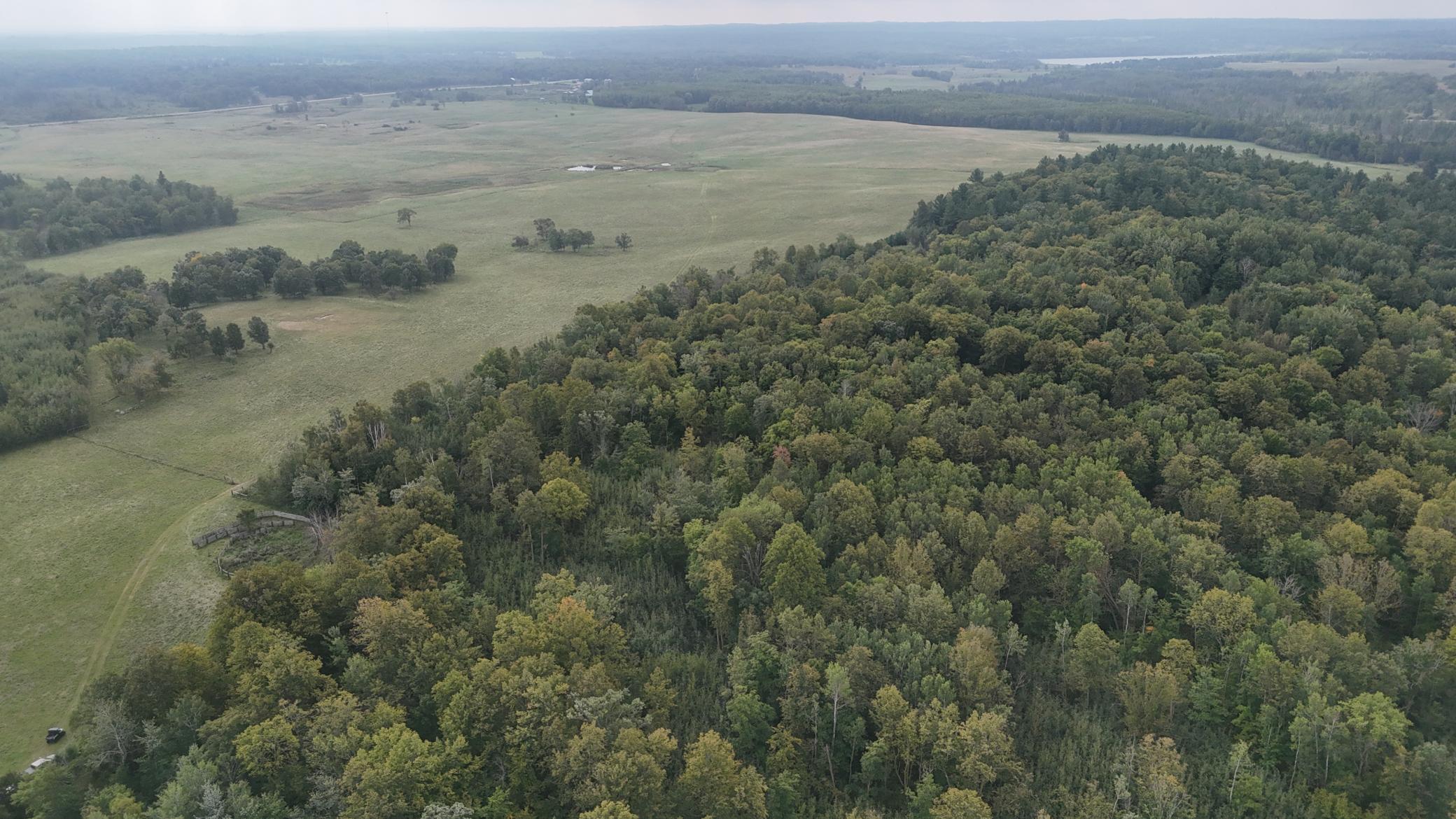 Tbd 220th Street Bagley, MN 56621 - Photo 8 of 26