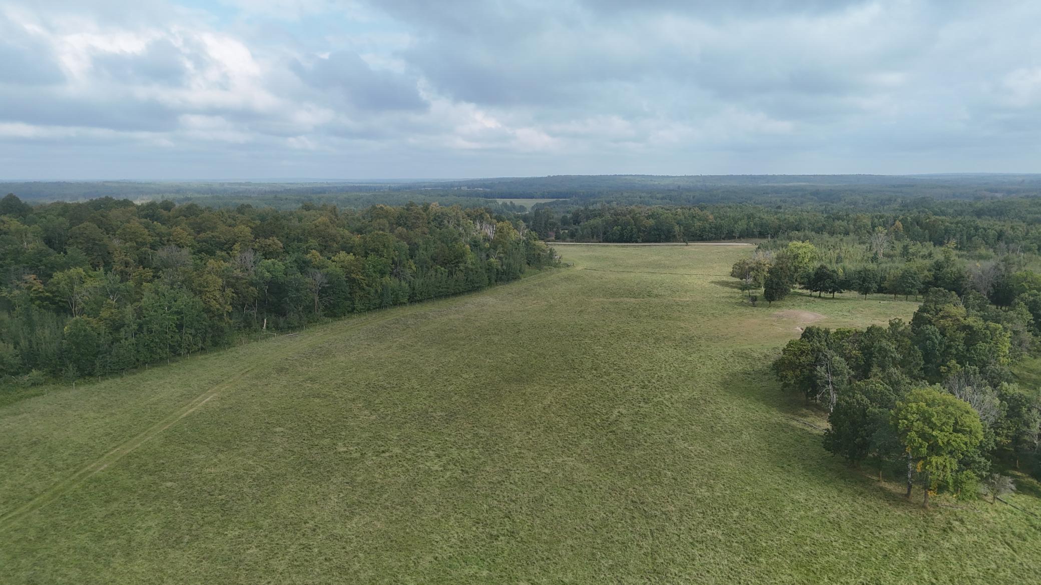 Tbd 220th Street Bagley, MN 56621 - Photo 9 of 26