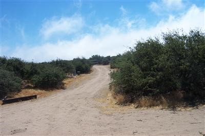 0 Rochester Phelan, CA 92317 - Photo 1 of 1 a view of a dry yard with trees