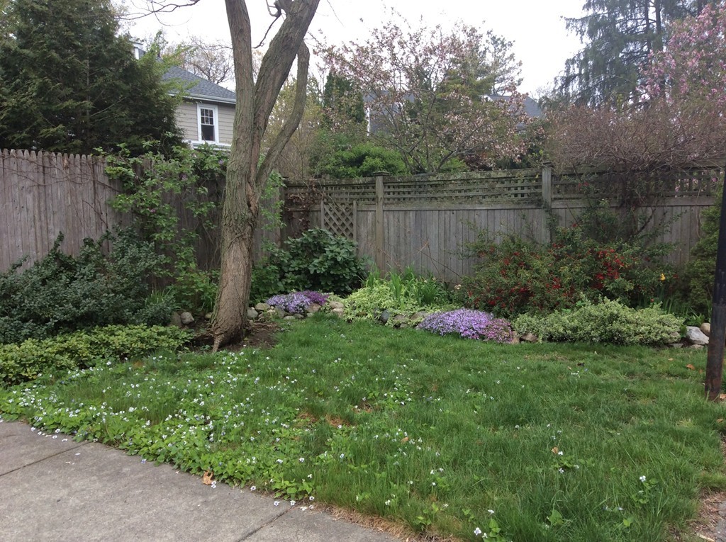 18 Rider Terrace Newton, MA 02466 - Photo 17 of 19 a view of a backyard with a table and potted plants and large trees