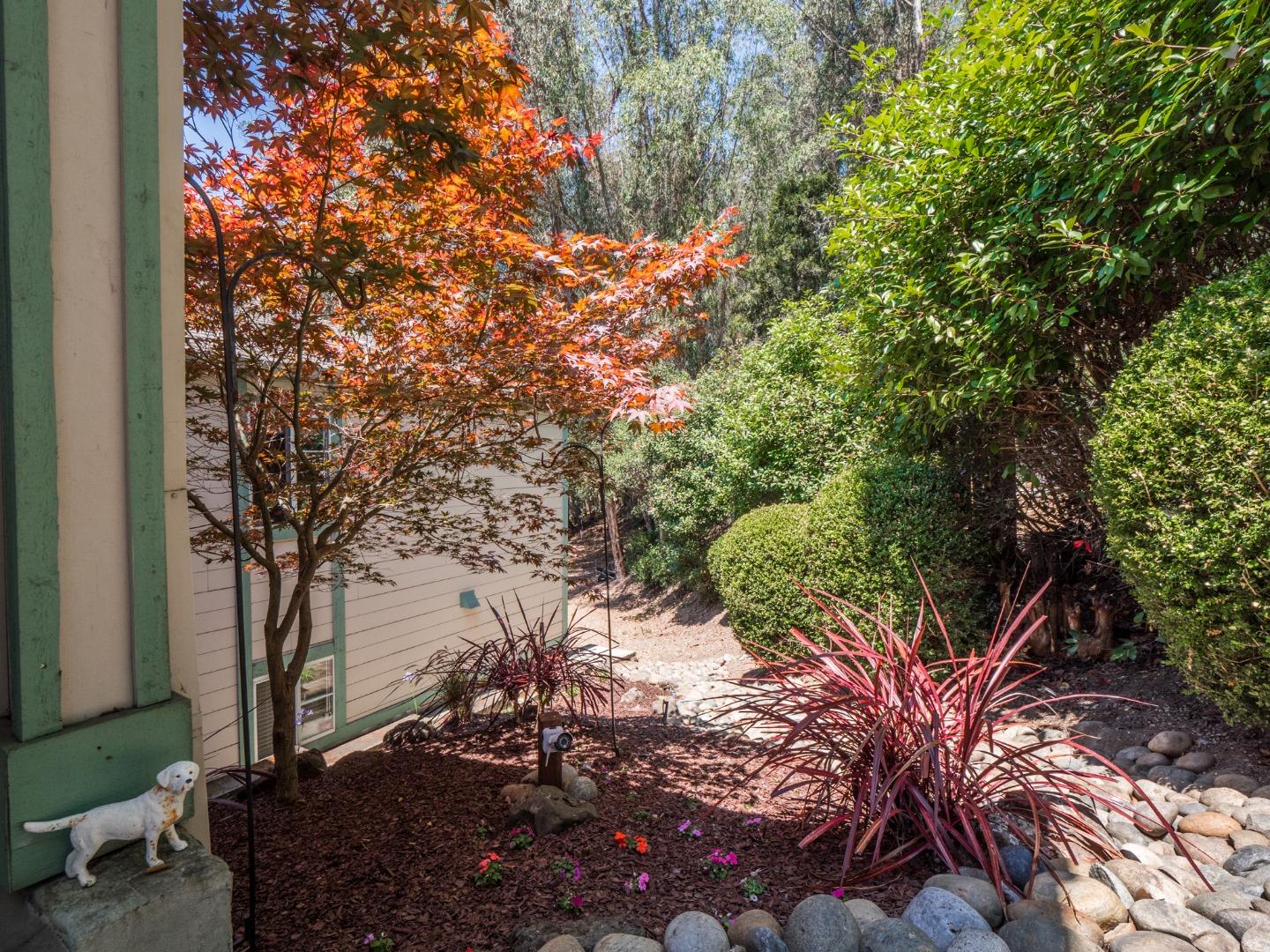 2185 Hames Road Aptos, CA 95003 - Photo 5 of 88 a view of a tree