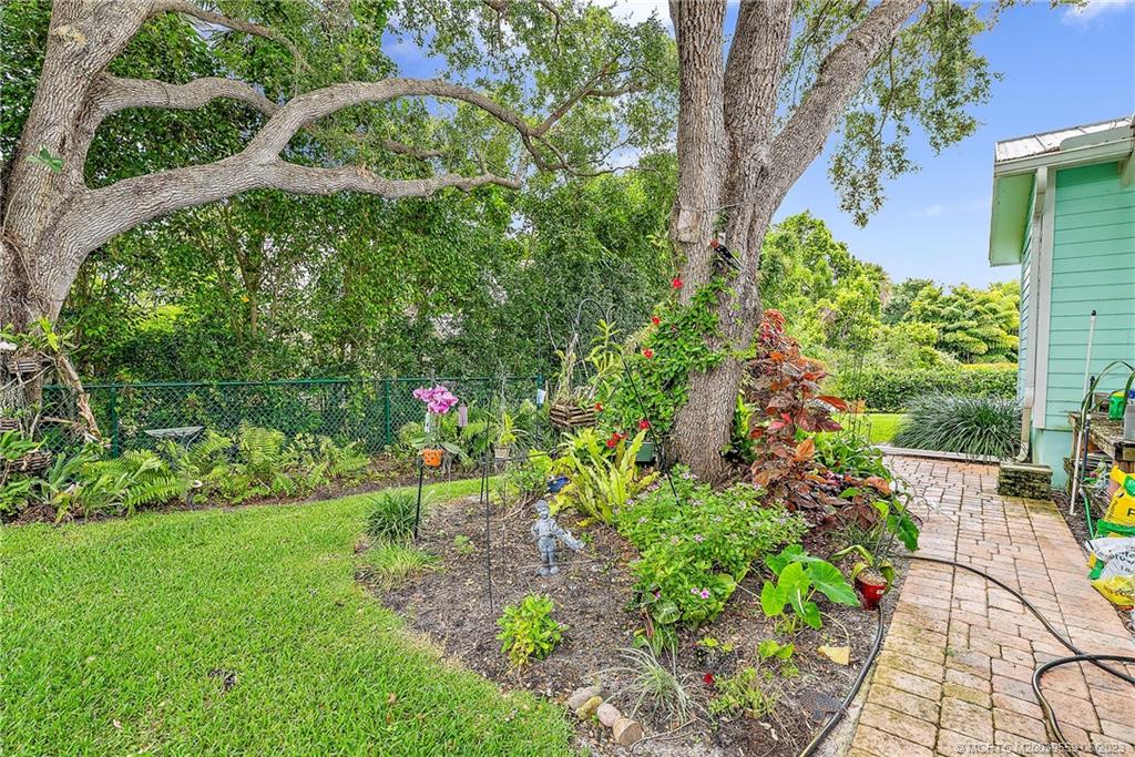 48 North River Road Stuart, FL 34996 - Photo 24 of 43 The benefit of the "greeen thumb" of the owner. Back yard boosts Orchids, fruit trees and native plants