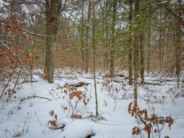 $39,900 | V/l South Nelson Road, Idlewild, MI 49642