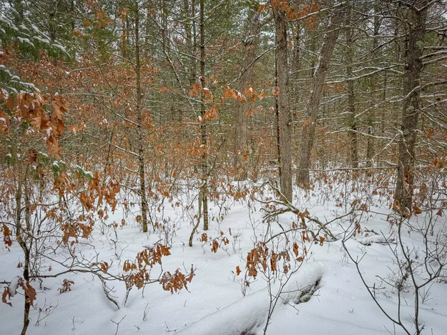 $39,900 | V/l South Nelson Road, Idlewild, MI 49642