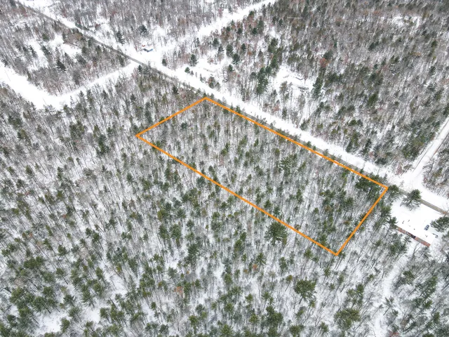 $39,900 | V/l South Nelson Road, Idlewild, MI 49642