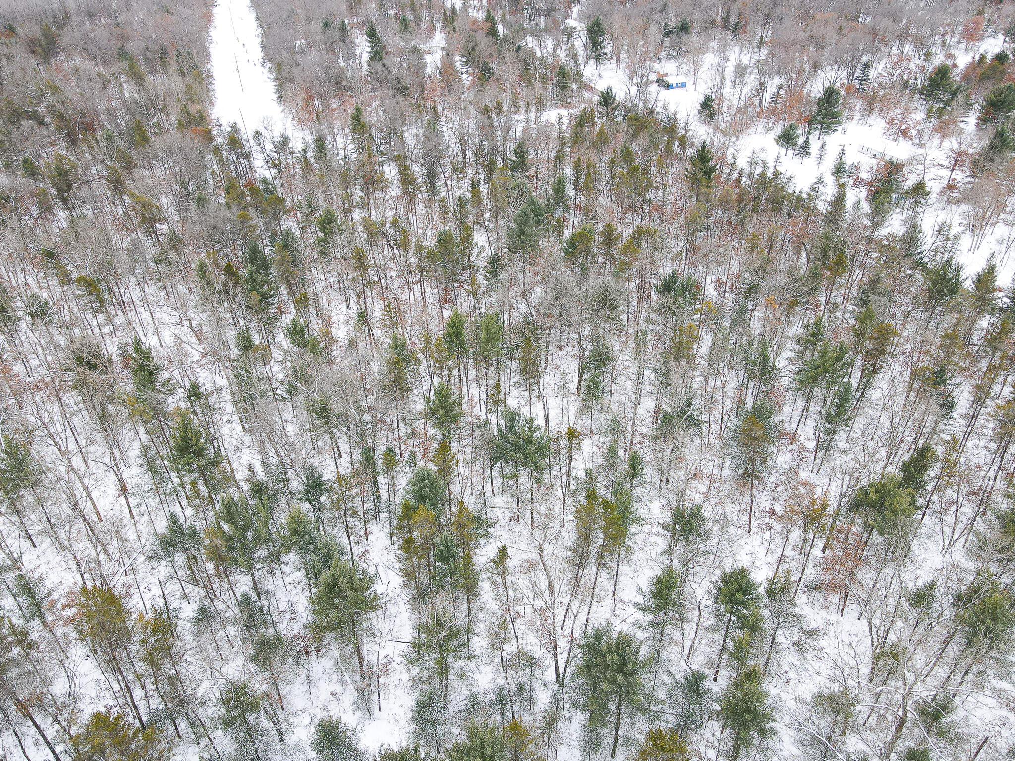 V/l South Nelson Road Idlewild, MI 49642 - Photo 4 of 13 DJI_0954