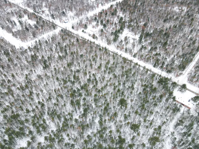 $39,900 | V/l South Nelson Road, Idlewild, MI 49642