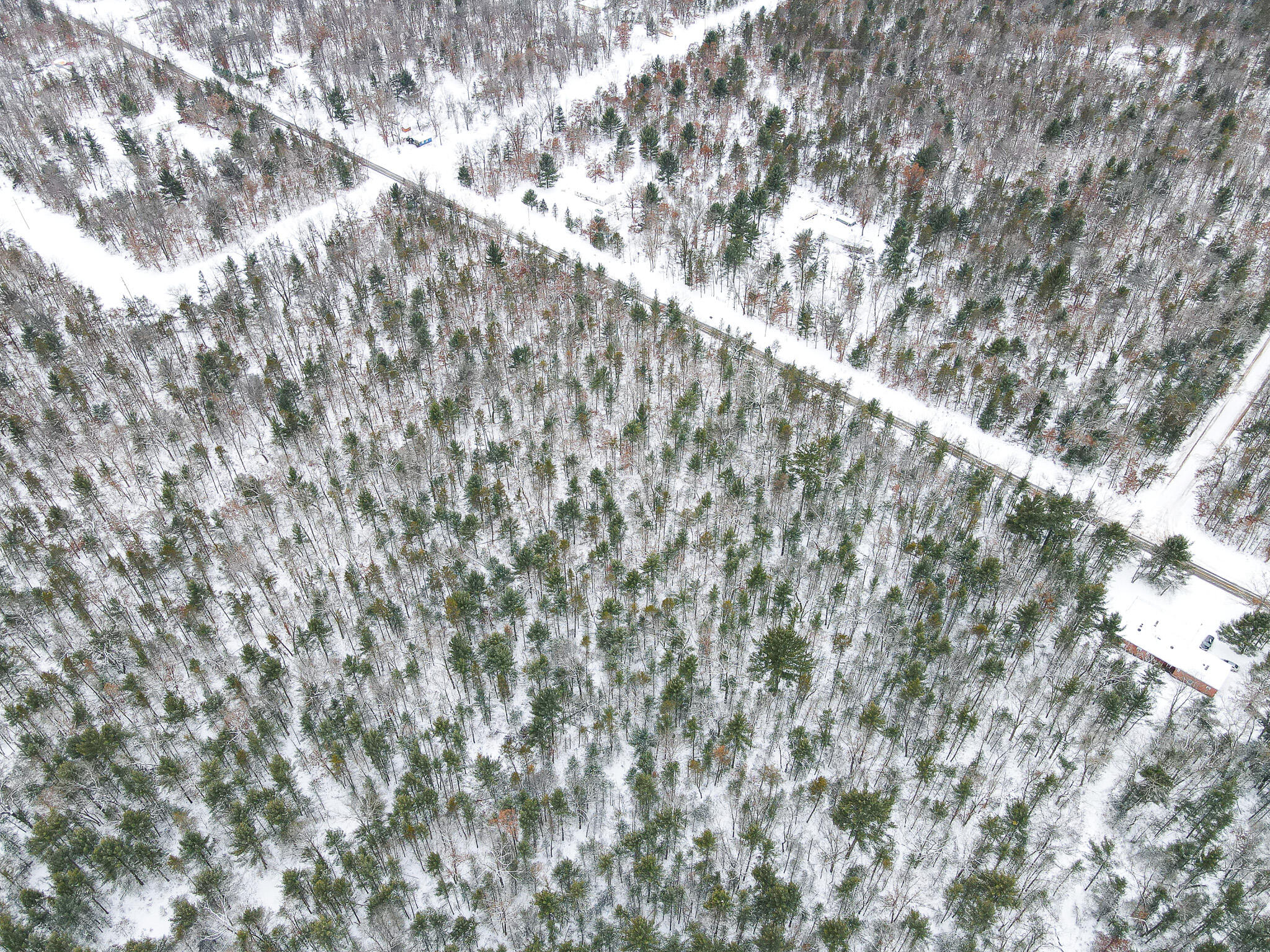 V/l South Nelson Road Idlewild, MI 49642 - Photo 7 of 13 DJI_0951