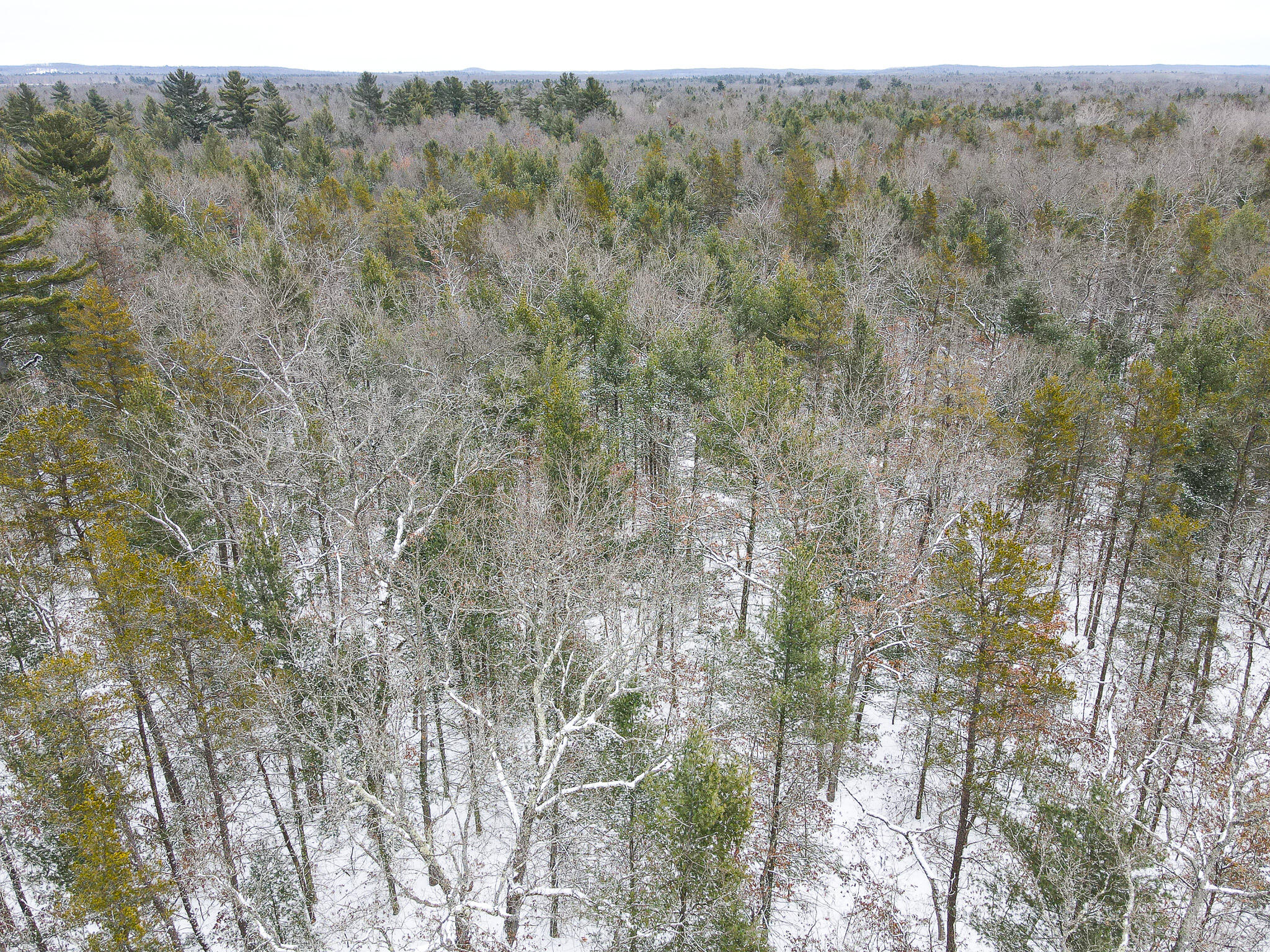 V/l South Nelson Road Idlewild, MI 49642 - Photo 8 of 13 DJI_0933