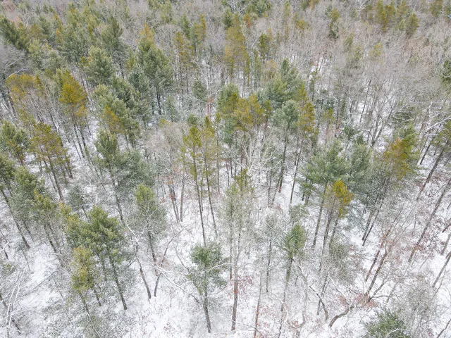 $39,900 | V/l South Nelson Road, Idlewild, MI 49642