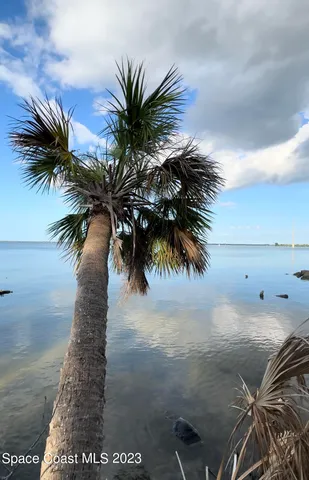 a view of a dry yard