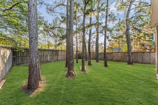 $3,000 | 31 Pleasant Point Place, Spring, TX 77389