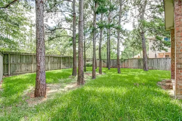 $3,000 | 31 Pleasant Point Place, Spring, TX 77389
