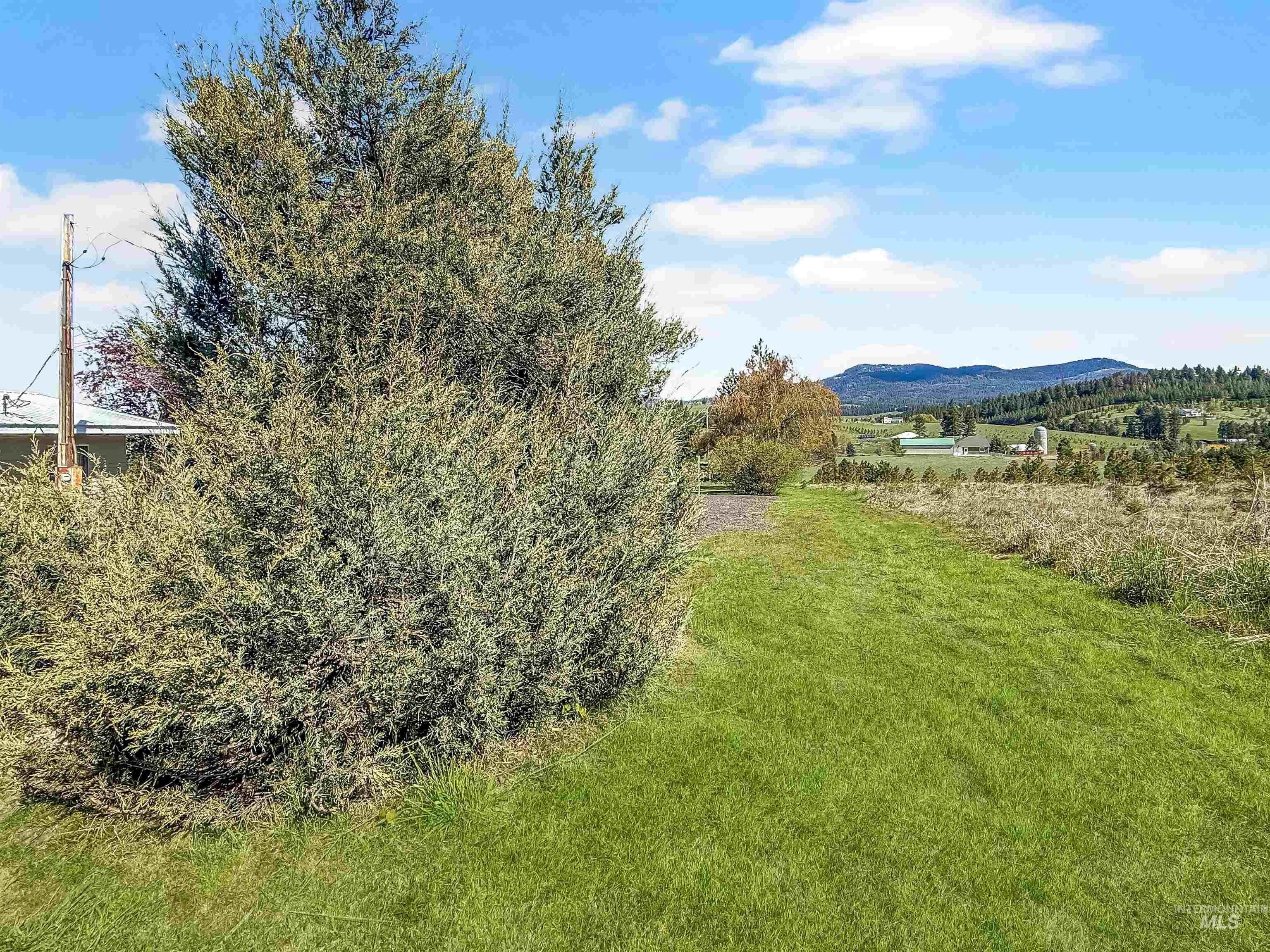 1226 Larson Road Moscow, ID 83843 - Photo 19 of 21