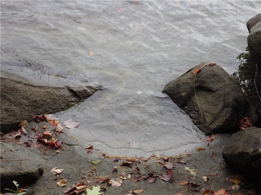 38-40 Blackberry Estates Rome, ME 04963 - Photo 23 of 23 Easy walk into the lake with a sandy...