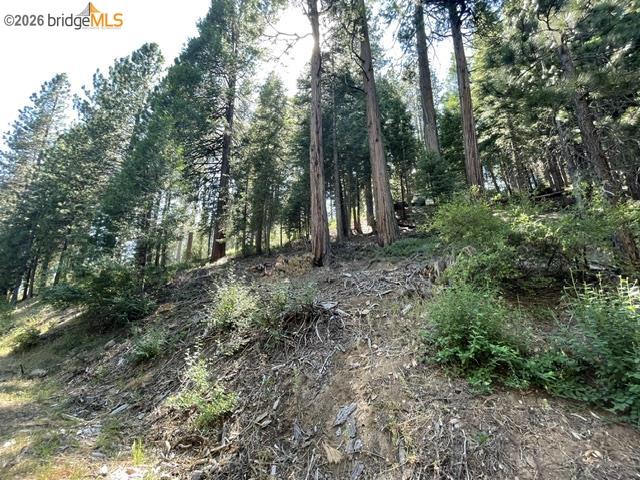 34 Snow Bowl Road Long Barn, CA 95335 - Photo 6 of 14 Gallery Image 6
