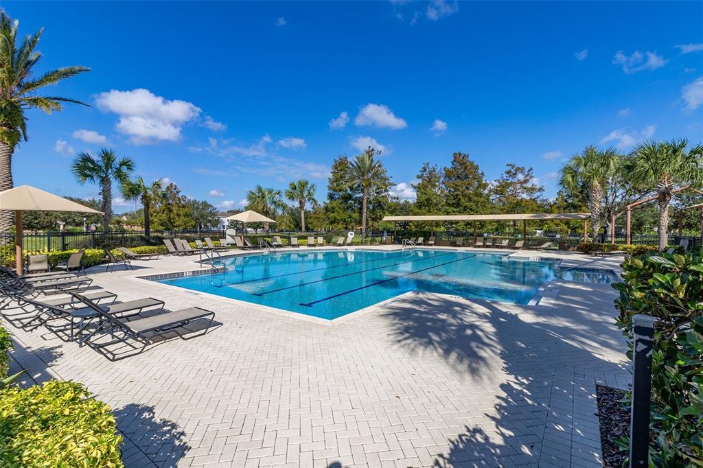 12966 Vennetta Way Windermere, FL 34786 - Photo 45 of 50