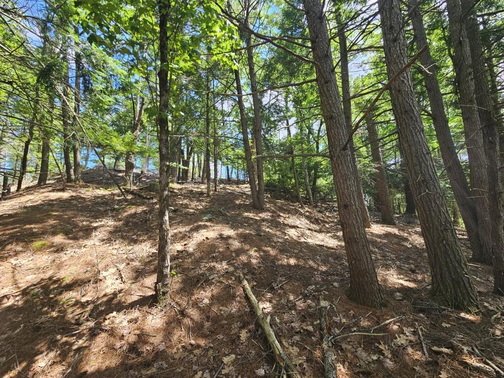 Multiple Quaker Ridge Road Leeds, ME 04263 - Photo 16 of 79 20260624_134800