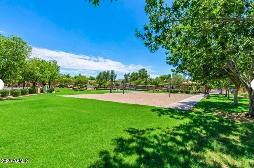 4235 East Betsy Lane Gilbert, AZ 85296 - Photo 24 of 25 Volleyball