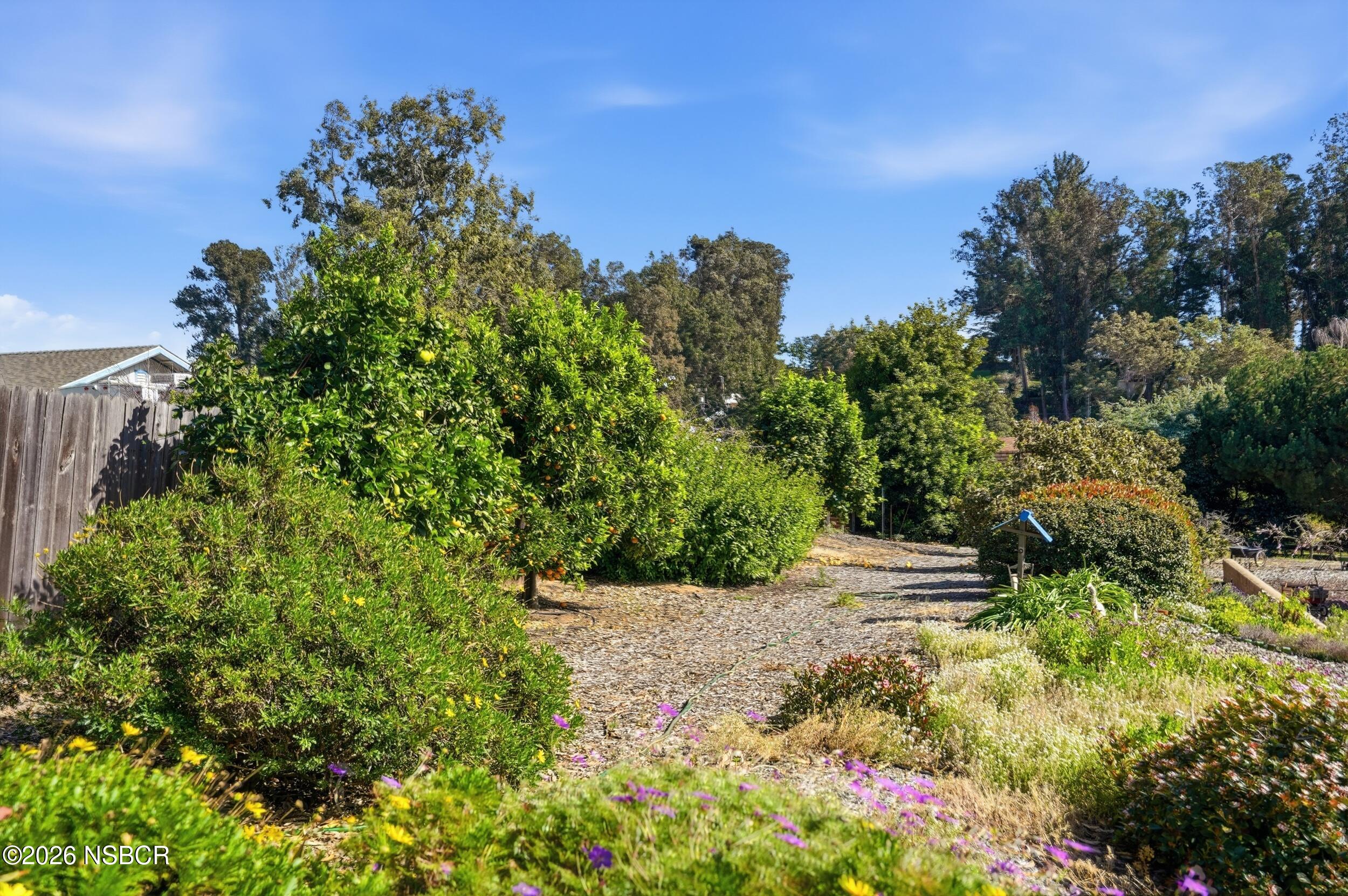 745 Inga Road Nipomo, CA 93444 - Photo 44 of 55 a view of a garden with plants and large trees